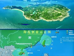 -广东惠东海龟国家级自然保护区