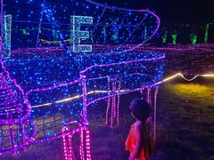 -广东花都香草世界旅游度假区