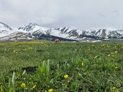 -新疆那拉提国家旅游度假区