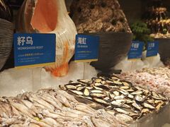-星伦多自助料理·涮烤一体(江桥万达店)
