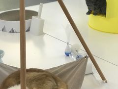 -厦门高崎国际机场-T3航站楼