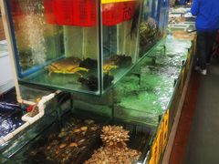 -寻味顺德·南记酒家·传统顺德菜·鱼生(广源路店)
