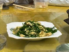 -煲来饱去冷水鱼