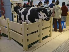 -红星前进面包牛奶公司(君太店)