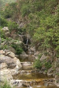 -白草畔自然风景区