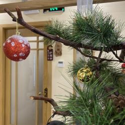 -芳朵美容养生SPA