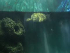 -上海长江河口科技馆