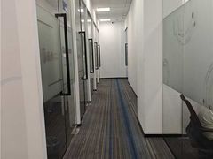 -菠萝国际教育专注Alevel·IGCSE·IB·AP·托福雅思培训辅导(静安校区)