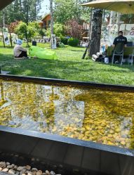 -禧园Joyous Garden ·宴会厅(禧园店)