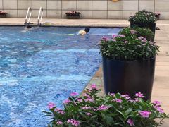 -皇庭V酒店康体中心VFITNESS健身游泳池馆