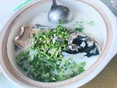 -天目湖松岭竹海漂流