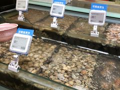-盒马鲜生(红莲店)