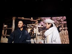 -万达影城(闵行颛桥万达广场杜比影院店)