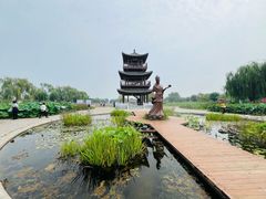 -荷花大观园