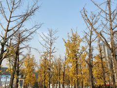 -百林公园-两江幸福广场