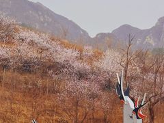 -康陵正德春饼宴26号