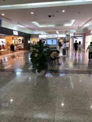 -欧扬医疗美容