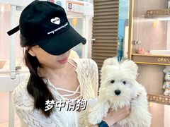 -翊宠yipet猫狗购宠庄园犬舍•猫舍