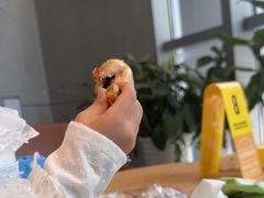 -麦当劳(北苑秋实路店)