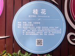 -桐乡植物园