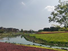 -天府芙蓉园