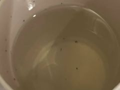 -上海静安香格里拉大酒店