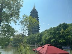 -听松楼·花园酒店·自助餐厅(红梅公园店)
