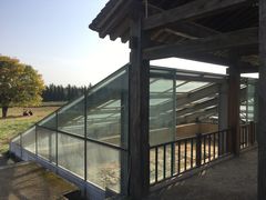-汉景帝阳陵博物院