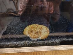 -Zoolung Zoolung动物主题公园(海信广场店)