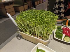 -海底捞火锅(中山路天主教堂店)