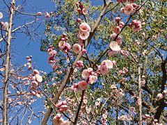 -兰陵国家农业公园