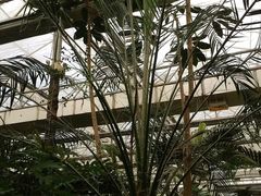-汤山翠谷生态餐厅