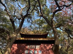 -普陀山风景名胜区-法雨禅寺