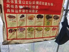 -马陆小张葡萄园农家乐