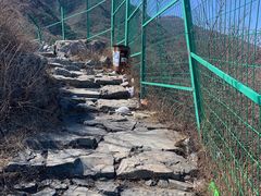 -阳台山自然风景区