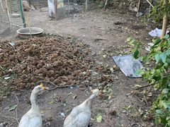 -水峪民俗村