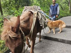-西岭雪山大飞水景区