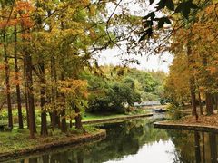 -上海共青森林公园