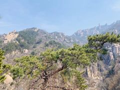 -崂山九水游览区