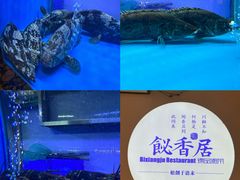 -飶香居(省博物馆店)