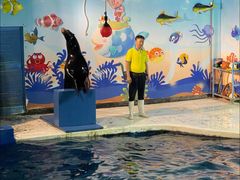 -太平洋海底世界