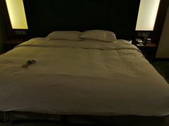 -上海浦东假日酒店