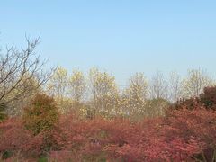 -嘉北郊野公园