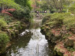 -上海醉白池公园