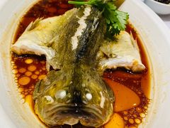 清蒸多宝鱼-好福记饭店(红梅公园店)