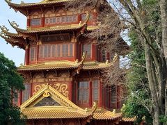 -龙潭水乡