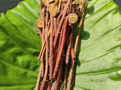 -深圳东部华侨城茵特拉根酒店
