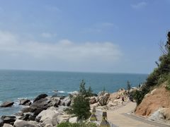 -广东惠东海龟国家级自然保护区