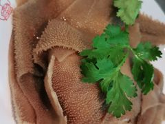 8秒毛肚片-季季红火锅(青山湖万达店)