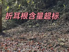 -三岔湖景区
